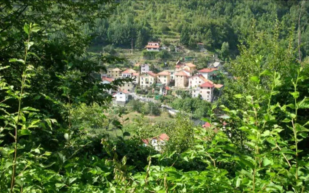 Villa Il Non Ti Scordar Di Me Valbravenna Esterno foto
