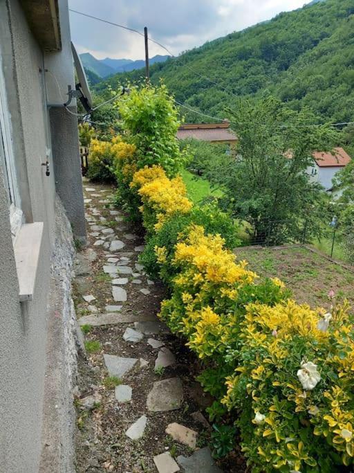 Villa Il Non Ti Scordar Di Me Valbravenna Esterno foto