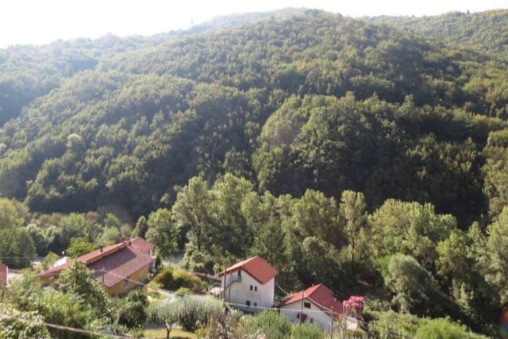 Villa Il Non Ti Scordar Di Me Valbravenna Esterno foto